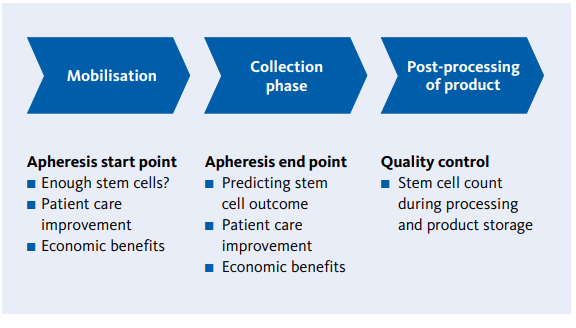 Schematic overview of implementation points for XN Stem Cells to optimise stem cell apheresis